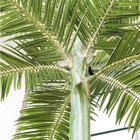 8m Işıklı Yapay Palmiye Ağaçları Fiberglas Gövde Uv Koruması