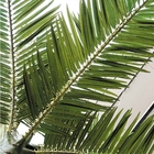 8m Işıklı Yapay Palmiye Ağaçları Fiberglas Gövde Uv Koruması