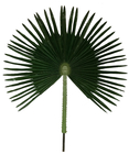 Korunmuş Yapraklar Yapay Palmiye Ağaçları, UV Korumalı 10 Ayak Sahte Palmiye Ağacı