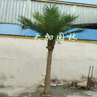 15 Yıl 10ft Yapay Palmiye Ağaçları, Sahte Palmiye Yaprağı Bitki Alışveriş Merkezi Dekorasyonu