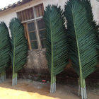 15 Yıl 10ft Yapay Palmiye Ağaçları, Sahte Palmiye Yaprağı Bitki Alışveriş Merkezi Dekorasyonu