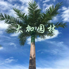 Anti Fading 10m Yapay Palmiye Ağaçları İpek Kumaş Uzun Sahte Palmiye Ağaçları