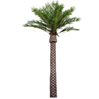 Yapay Hindistan Cevizi Palmiye Ağacı Fiberglas Ağaç Alışveriş Merkezi Sahil Açık Ağaçlar