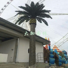 Fiberglas UV Korumalı Yapay Palmiye Ağaçları Kapalı