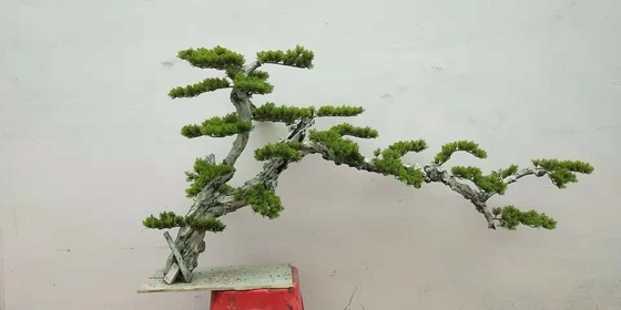 Dajia 1m Yapay Yeşil Ağaçlar, Bahçe İçin Gerçekçi Sahte Bonsai Ağacı