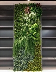 10 Yıl Yapay Yeşil Duvar Zemin, 100 * 100cm Sahte Şimşir Paneller